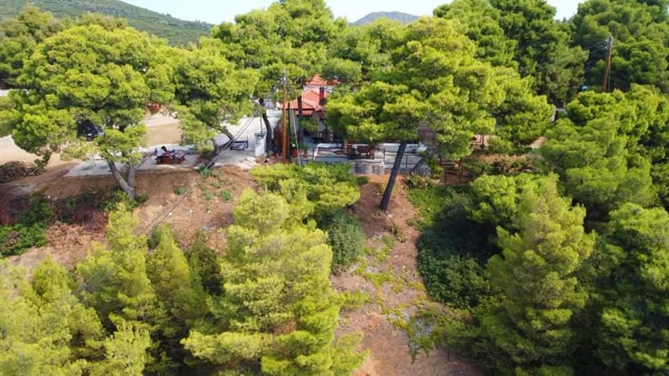 Pefkonas Apartments2 100 M From The Beach Псахудиа Екстериор снимка