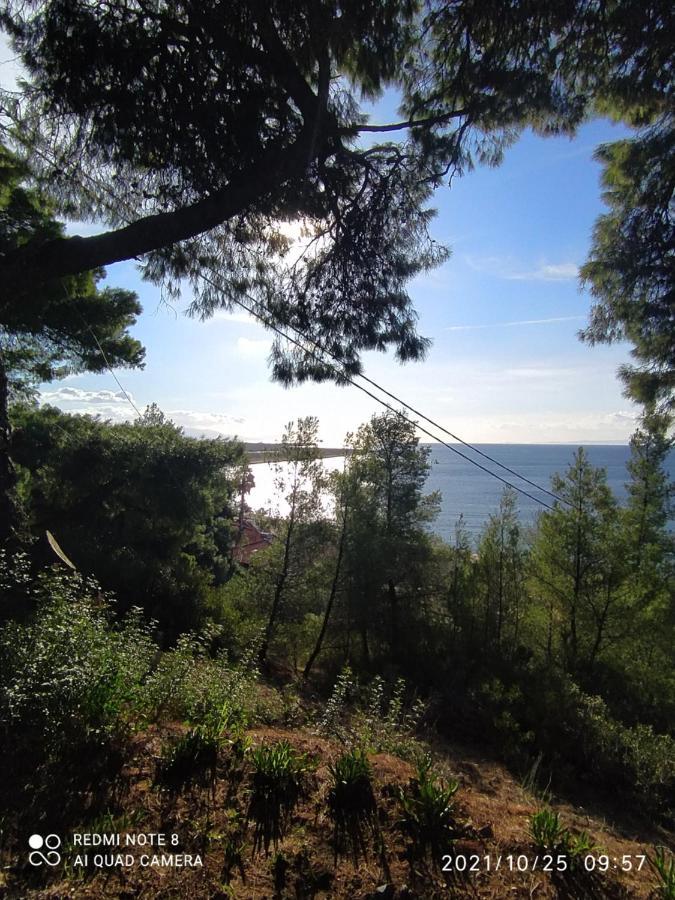 Pefkonas Apartments2 100 M From The Beach Псахудиа Екстериор снимка