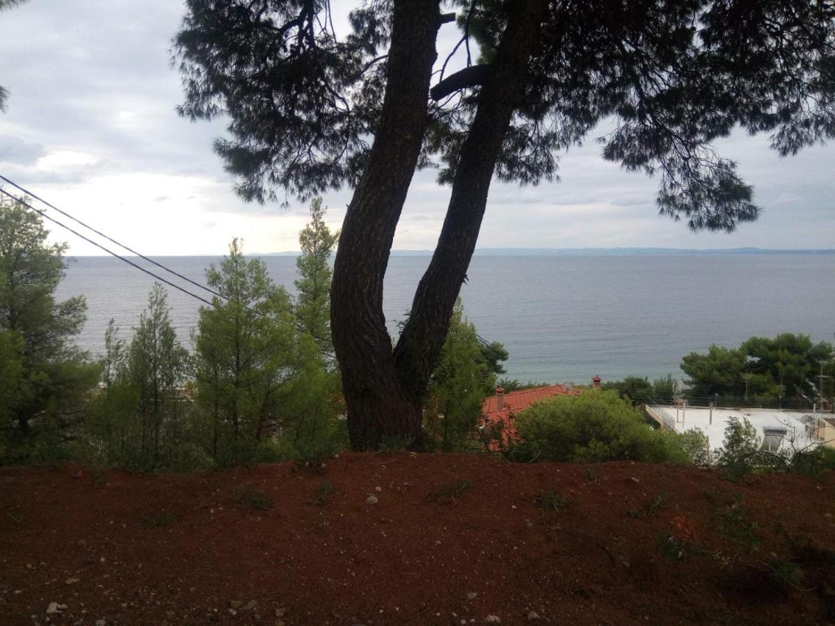 Pefkonas Apartments2 100 M From The Beach Псахудиа Екстериор снимка