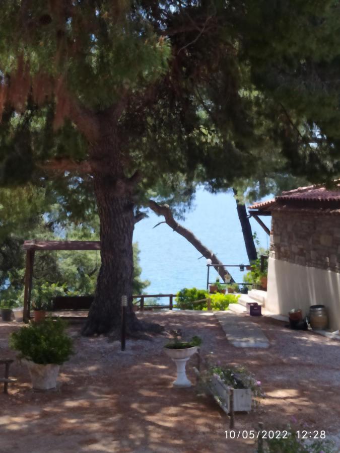 Pefkonas Apartments2 100 M From The Beach Псахудиа Екстериор снимка
