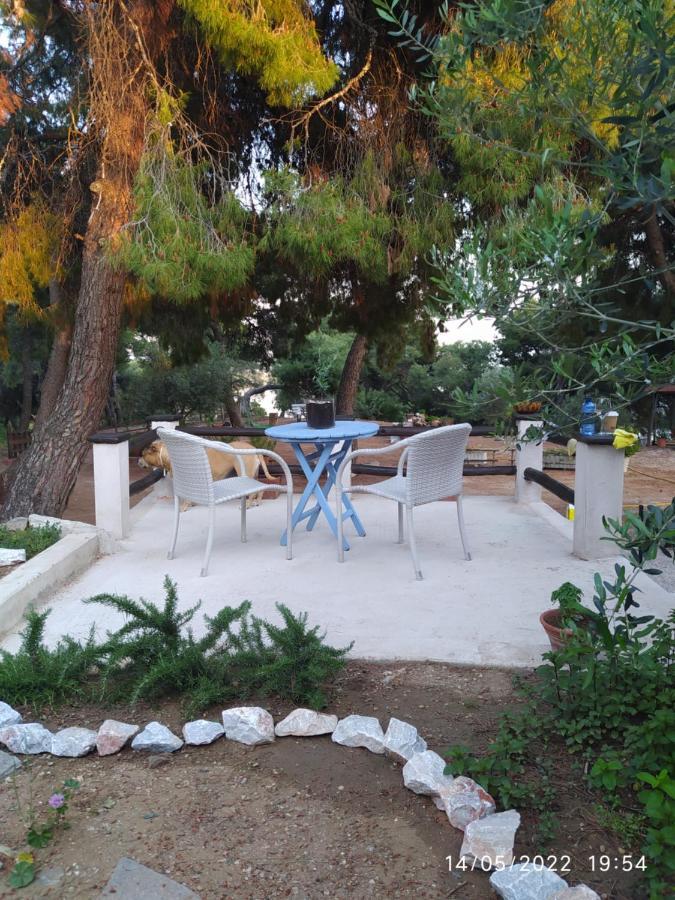 Pefkonas Apartments2 100 M From The Beach Псахудиа Екстериор снимка